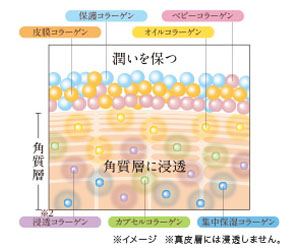 7種類のコラーゲン(複合型リフティングコラーゲンEX)